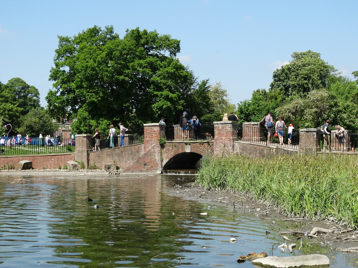 Verulamium Park